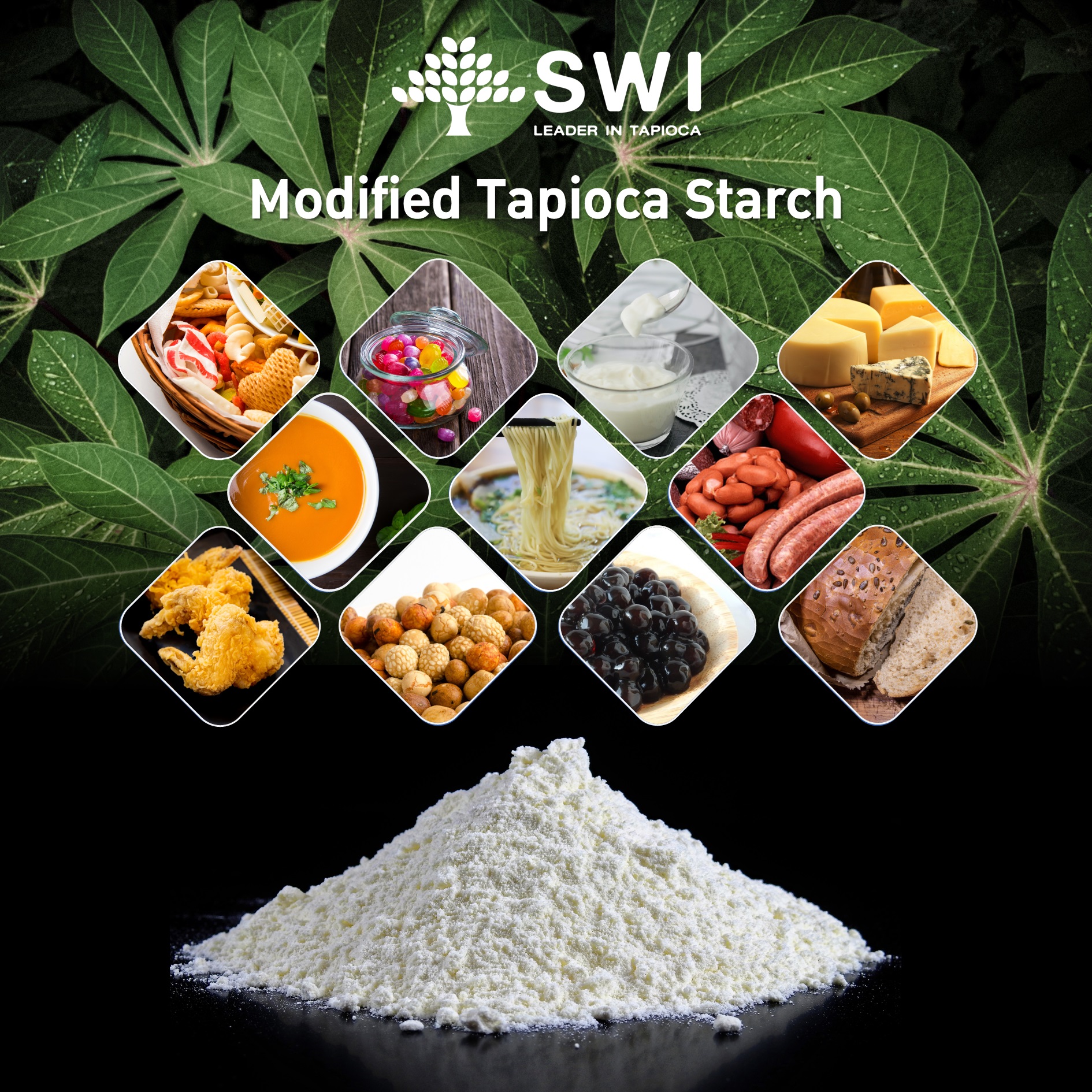Modified Tapioca Starch